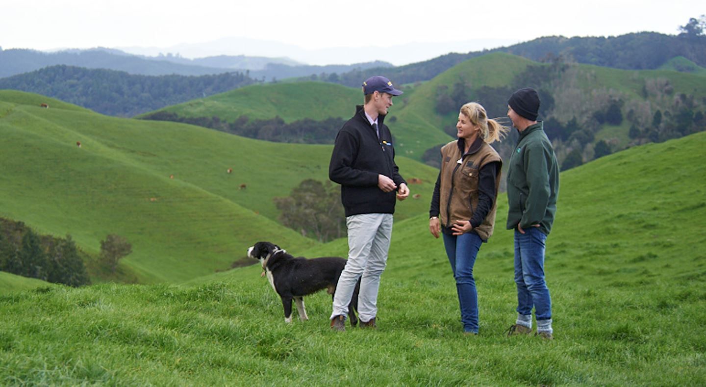 NZ Farmers Livestock branded apparel and corporate gifting case study